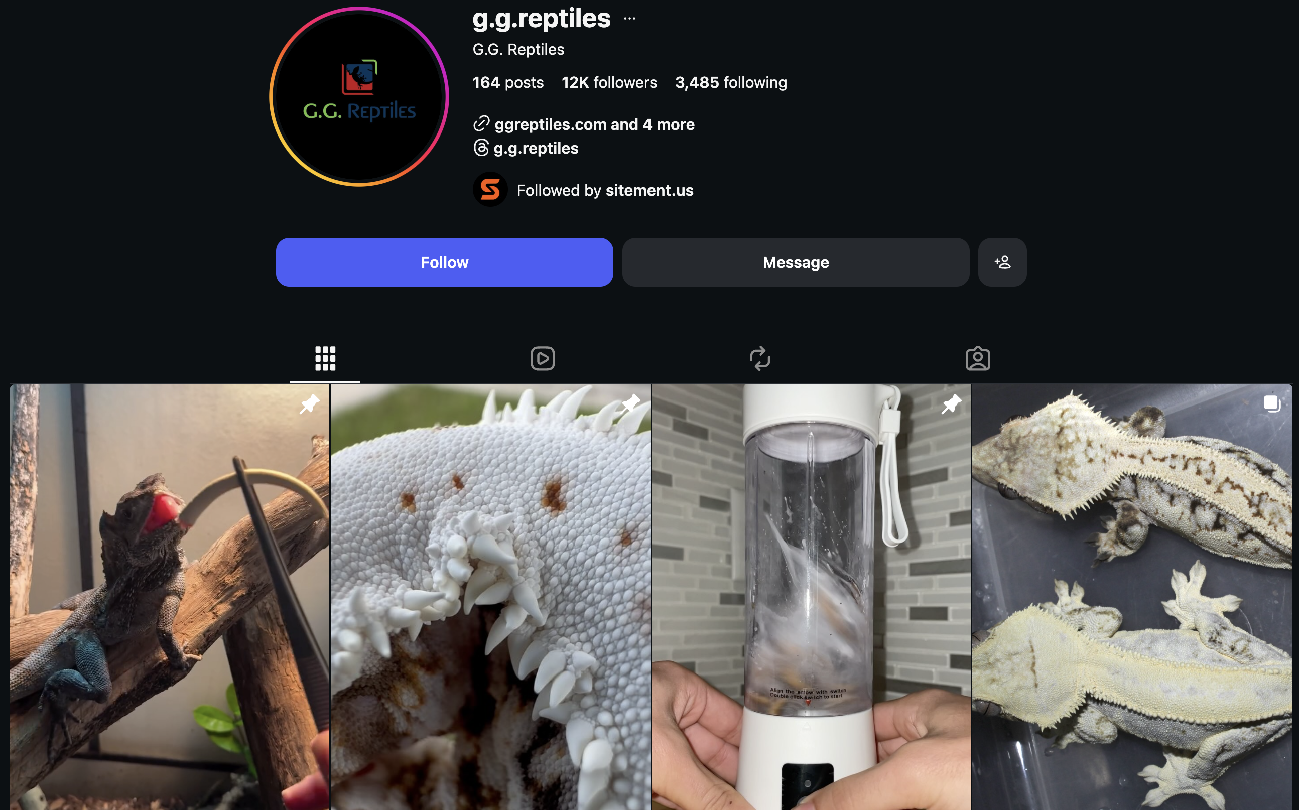 GG Reptiles Instagram profile